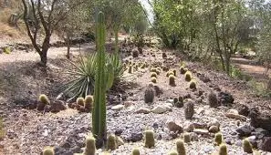 cactus park près de Forme-Hôtel, idéal pour la famille.