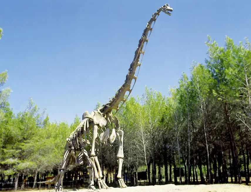 Exposition au musée-parc des dinosaures près de Forme-Hôtel
