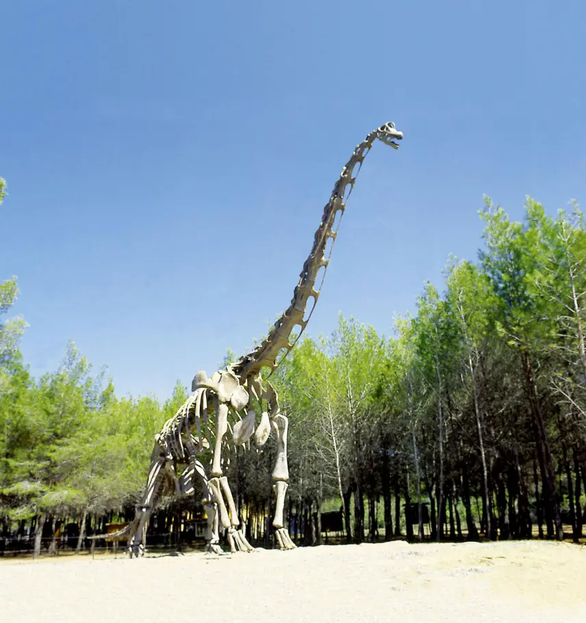 Exposition au musée-parc des dinosaures près de Forme-Hôtel