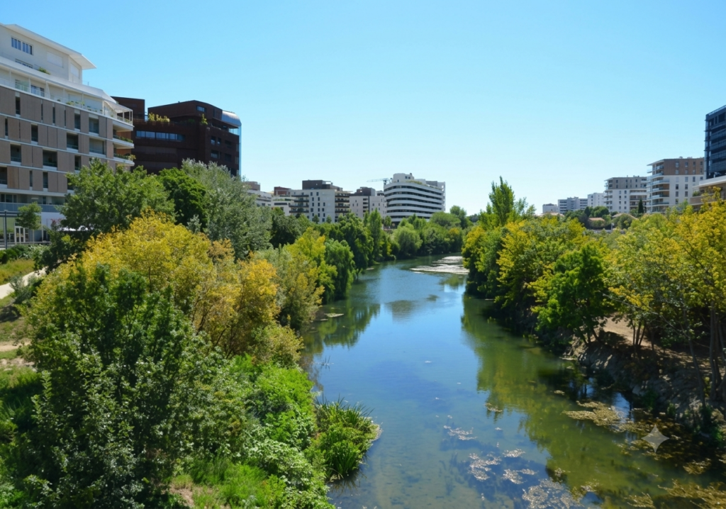 Rive du Lez