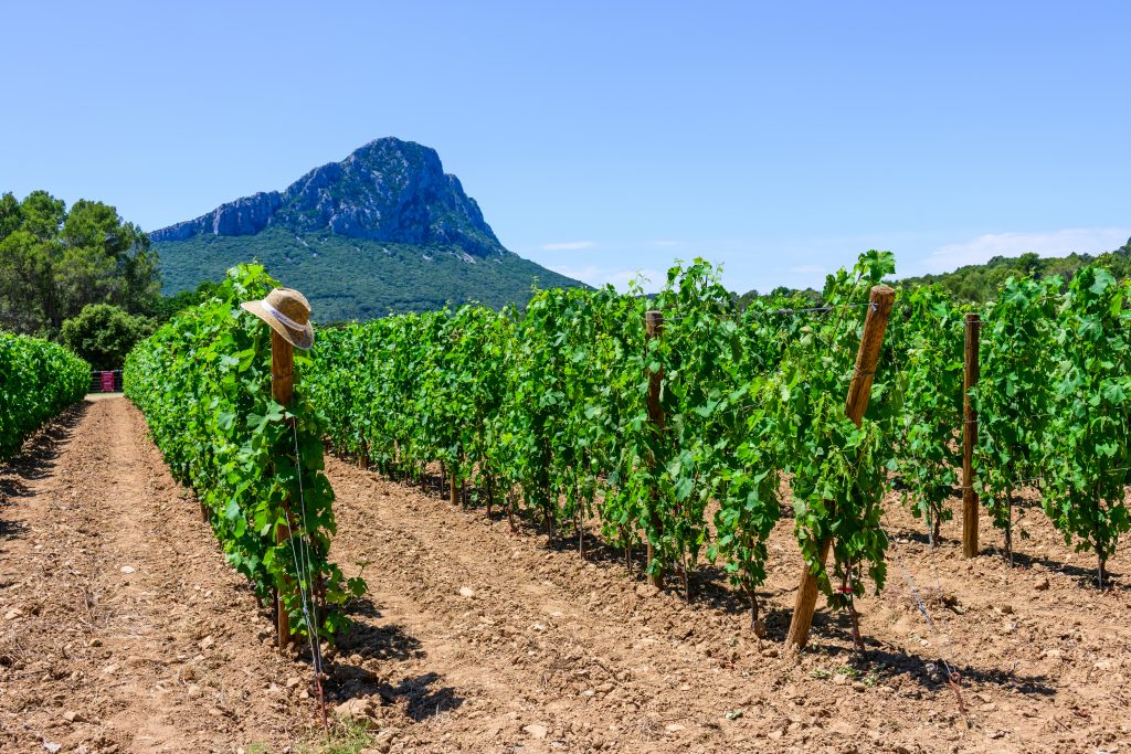 Pic Saint-Loup