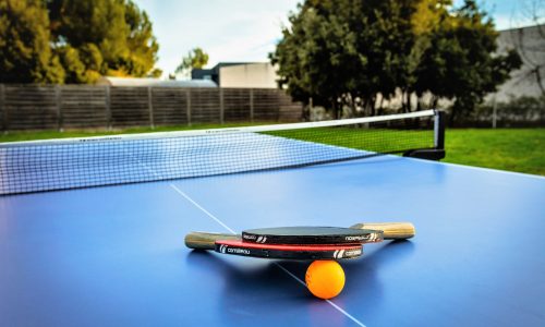 Table de ping-pong avec de la verdure